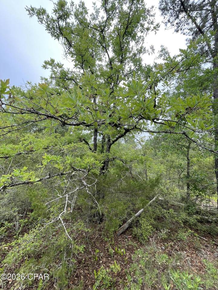 https://bt-photos.global.ssl.fastly.net/panamacity/1280_boomver_1_788933-2.jpg