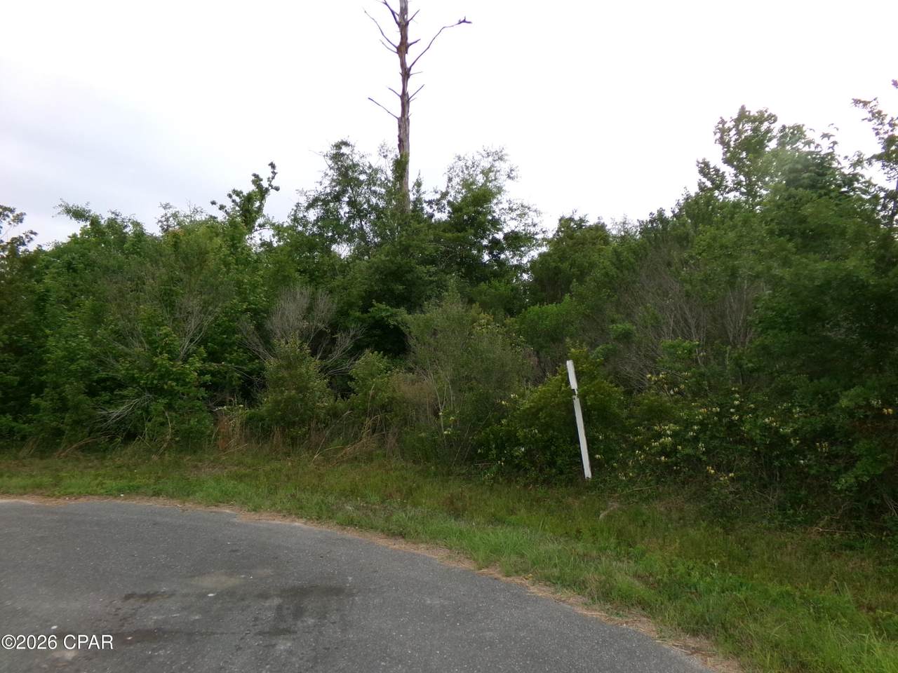 https://bt-photos.global.ssl.fastly.net/panamacity/1280_boomver_1_788934-2.jpg