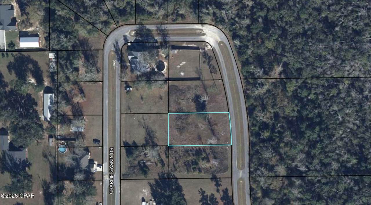 lot 22 Charlie Gaskin Drive - Photo 1