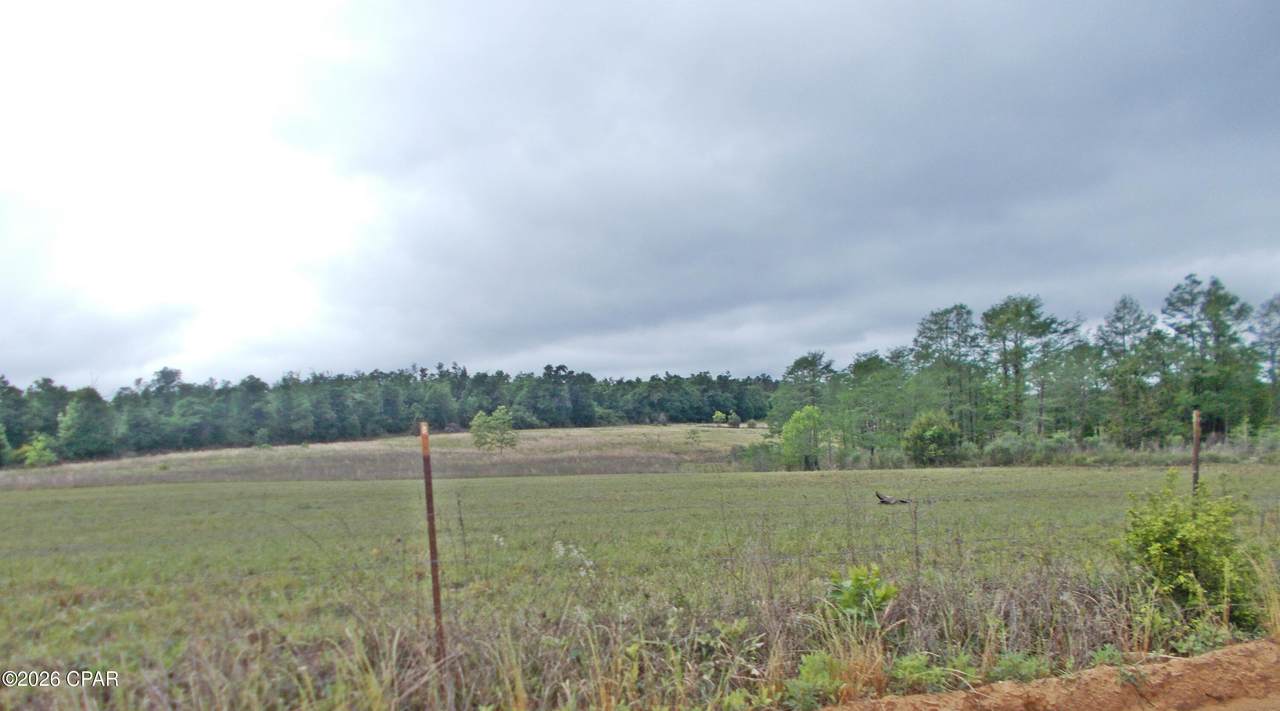 https://bt-photos.global.ssl.fastly.net/panamacity/1280_boomver_1_789288-2.jpg