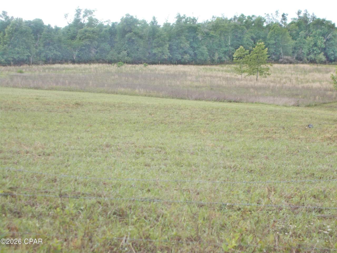 https://bt-photos.global.ssl.fastly.net/panamacity/1280_boomver_1_789288-2.jpg