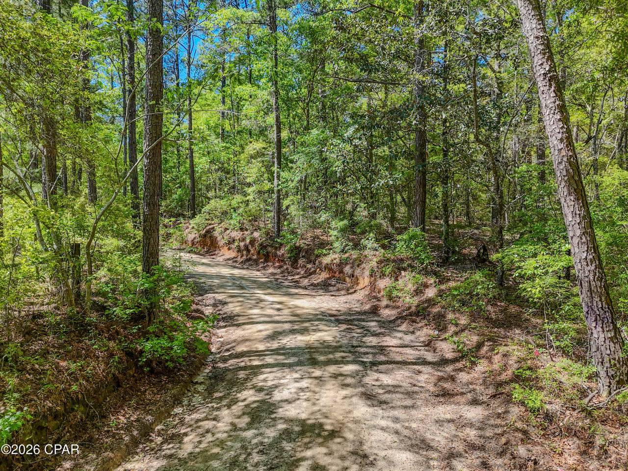 https://bt-photos.global.ssl.fastly.net/panamacity/1280_boomver_1_789403-2.jpg