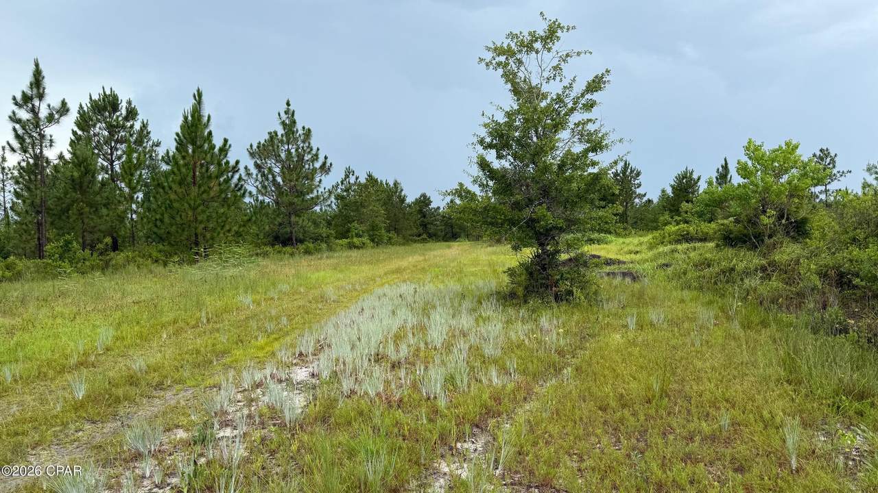 00 Foster Road - Photo 1