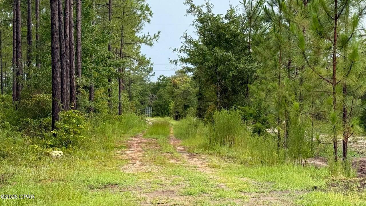 https://bt-photos.global.ssl.fastly.net/panamacity/1280_boomver_1_789410-2.jpg