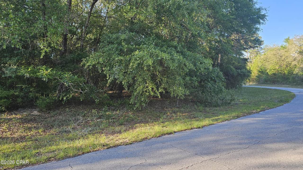 Lot 10 Janet Circle - Photo 1