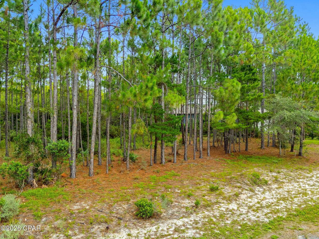 https://bt-photos.global.ssl.fastly.net/panamacity/1280_boomver_1_792104-2.jpg
