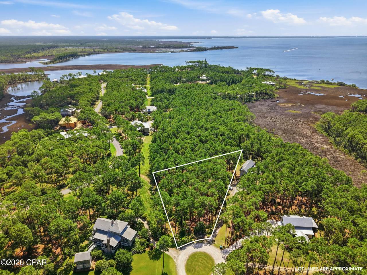6502 Golden Aster Trail - Photo 1