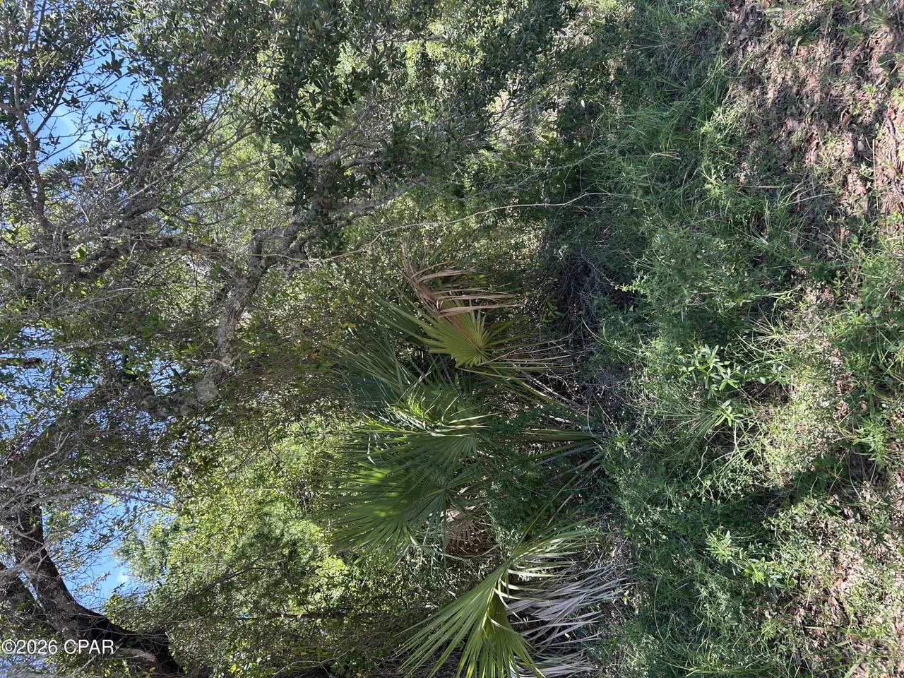17 Flower Avenue - Photo 1