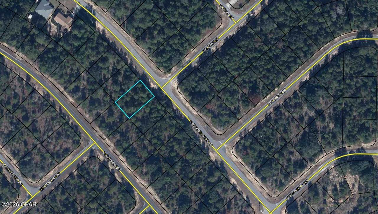 Lot 61 Shenandoah Boulevard - Photo 1