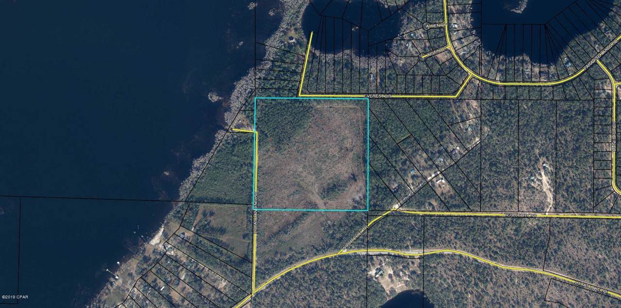 000 Lucas Landing Road - Photo 1