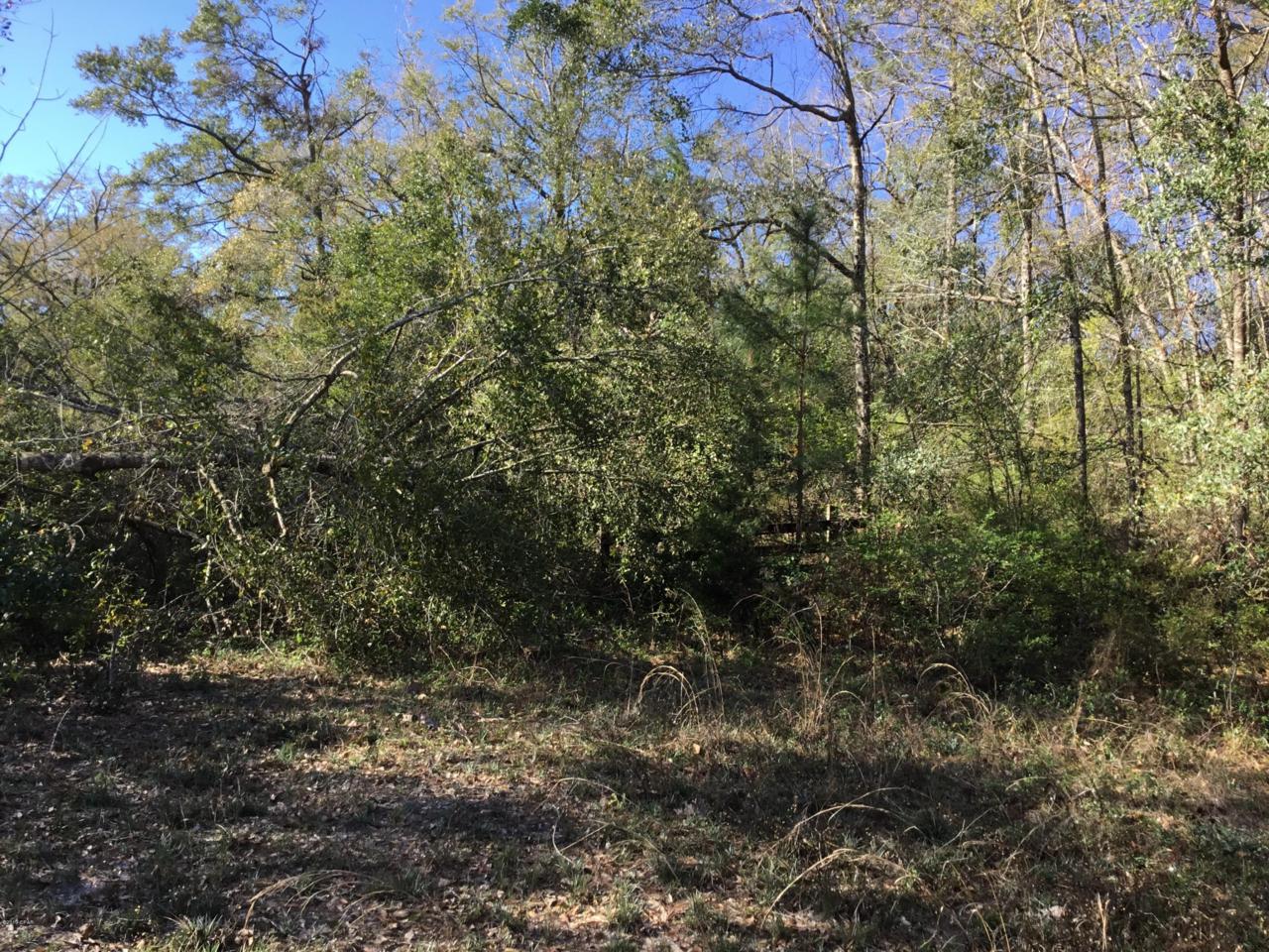 0000 Old Bonifay Road - Photo 1