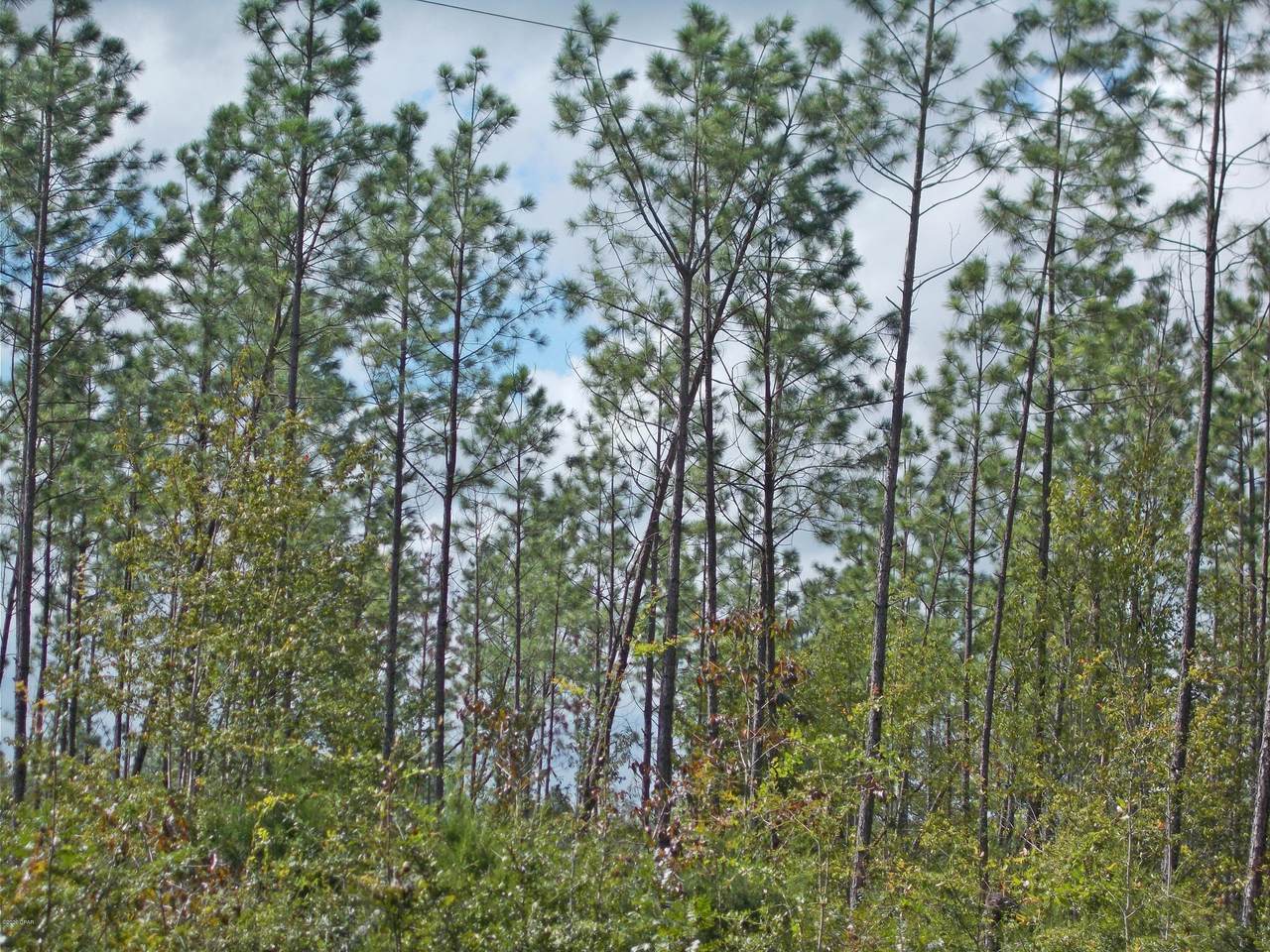 00 Sand Basin Road - Photo 1