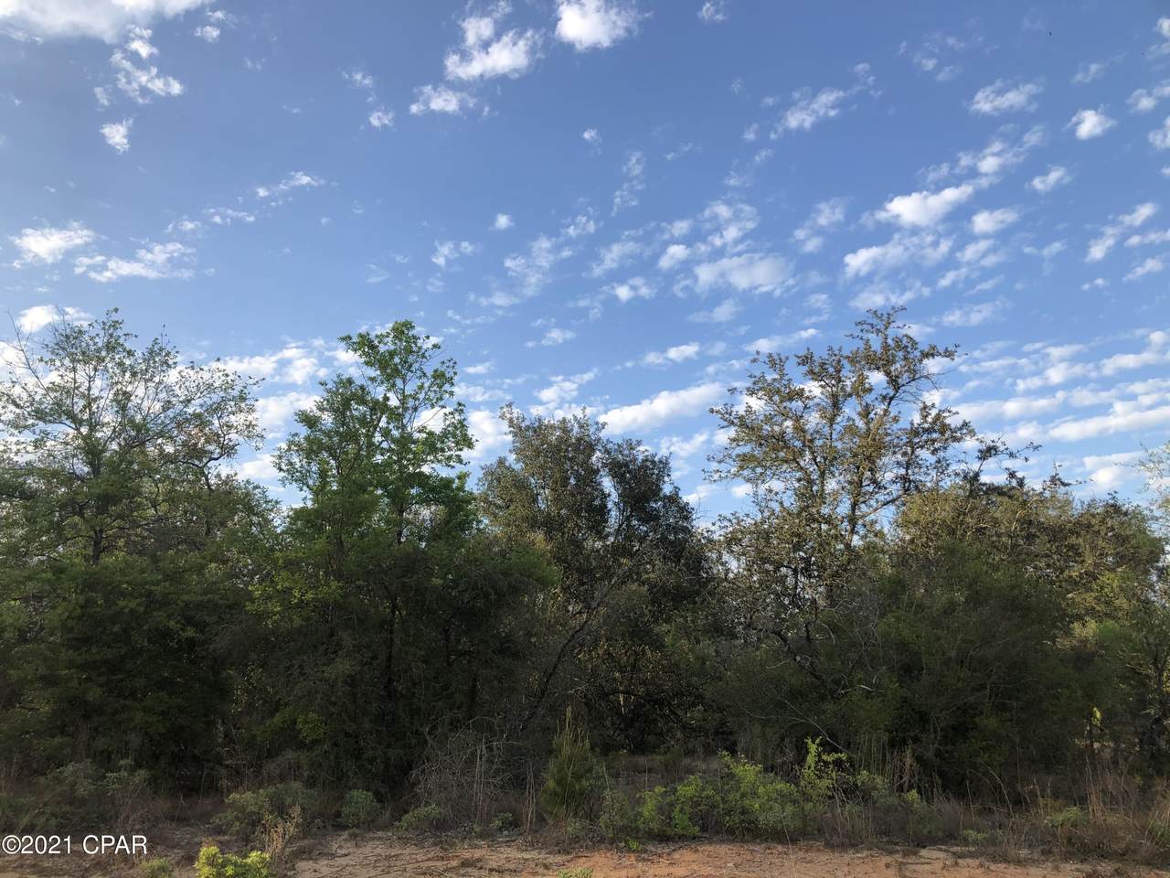 000 Silver Lake Road - Photo 1