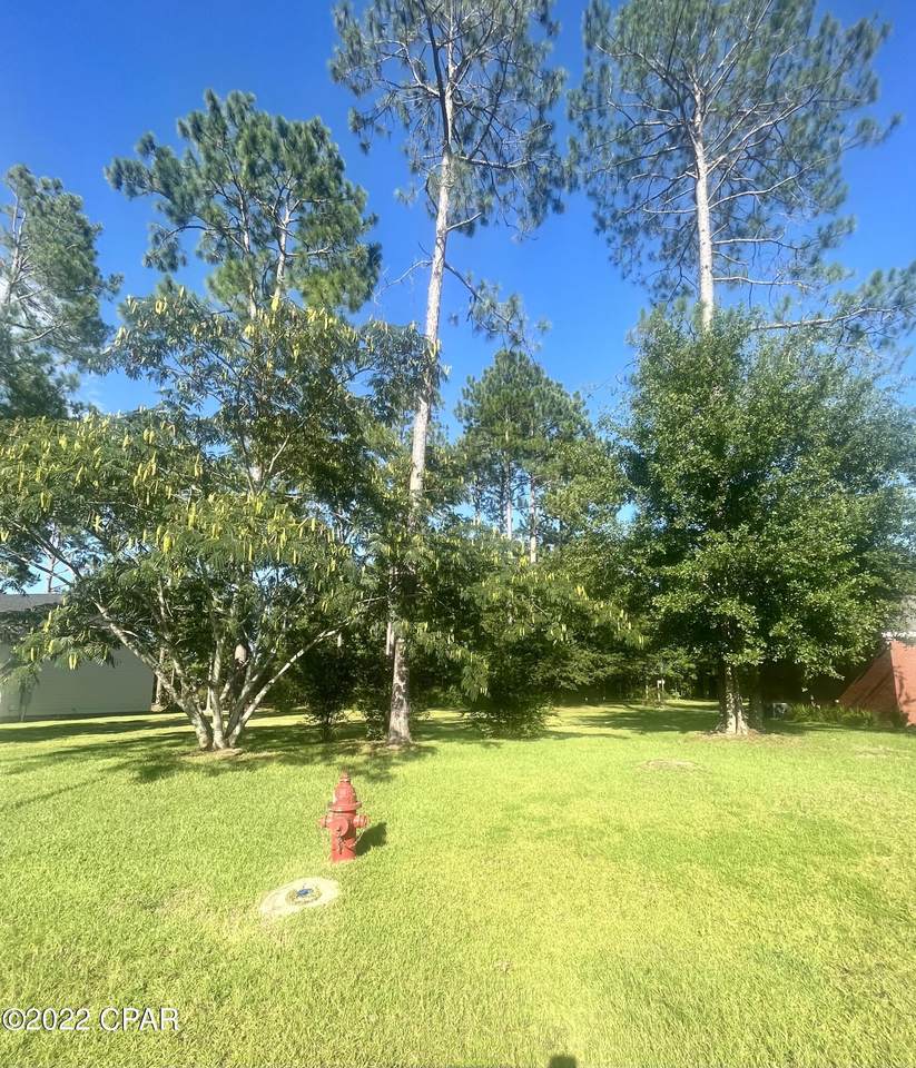 987 Haywood Drive - Photo 1