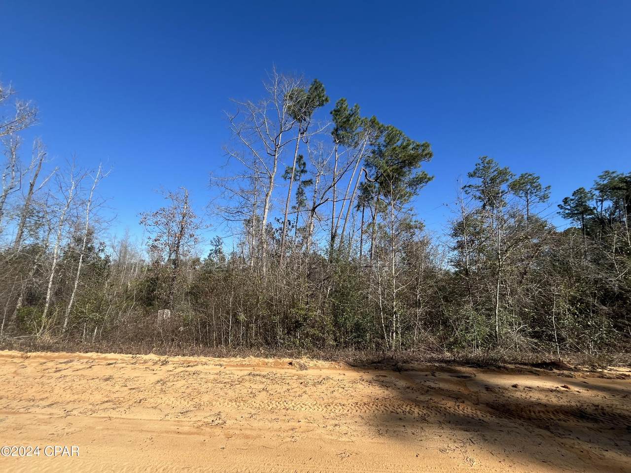 0 Seashore Avenue - Photo 1
