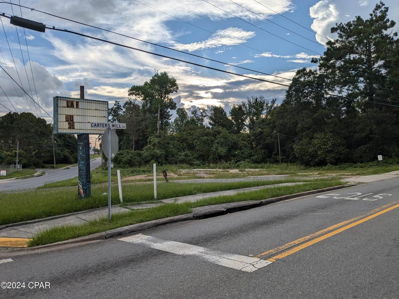 3003 Carters Mill Road - Photo 1