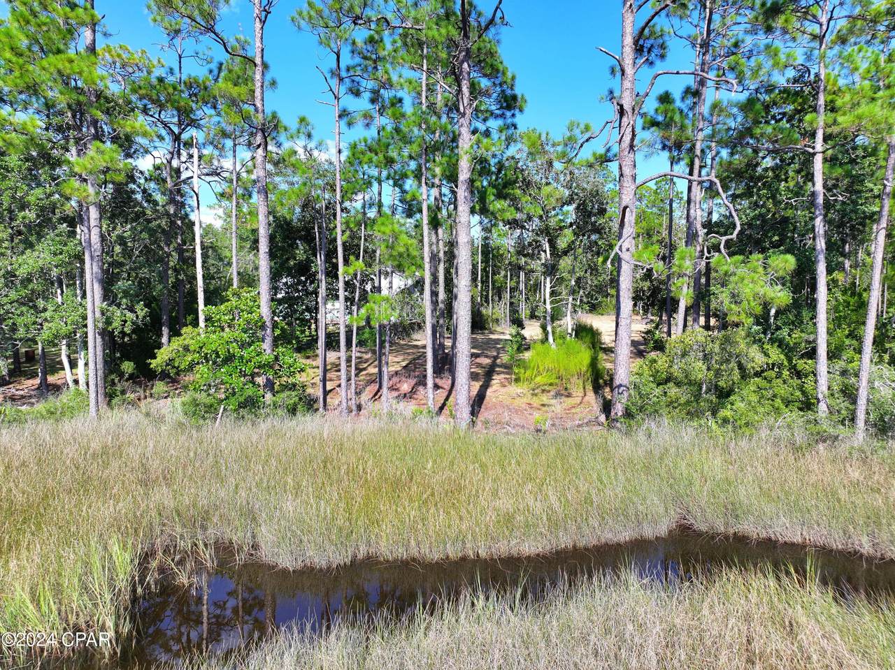 9399 Burnt Mill Creek Road - Photo 1