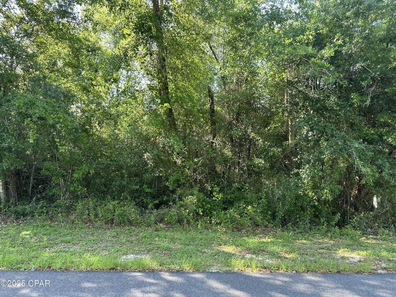 6009 Wedgewood Lane - Photo 1