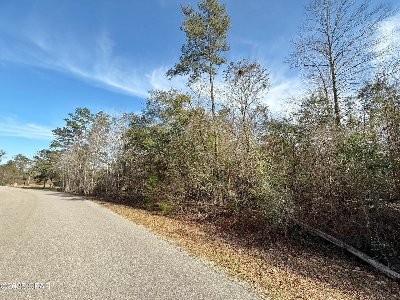 00 Oak Drive - Photo 1