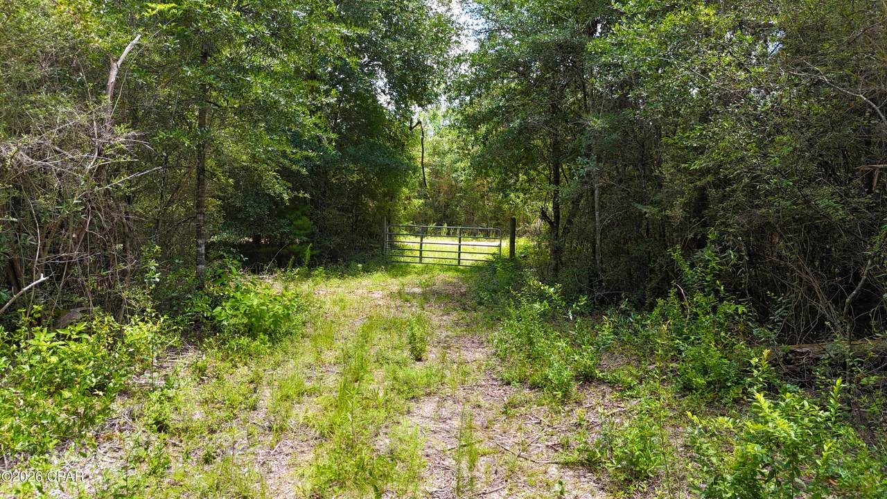 20429 Fettinger Road - Photo 1