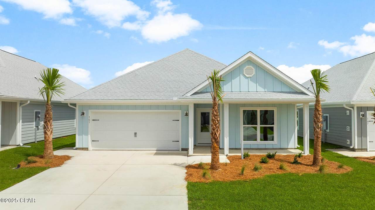 161 Needle Rush Drive - Photo 1