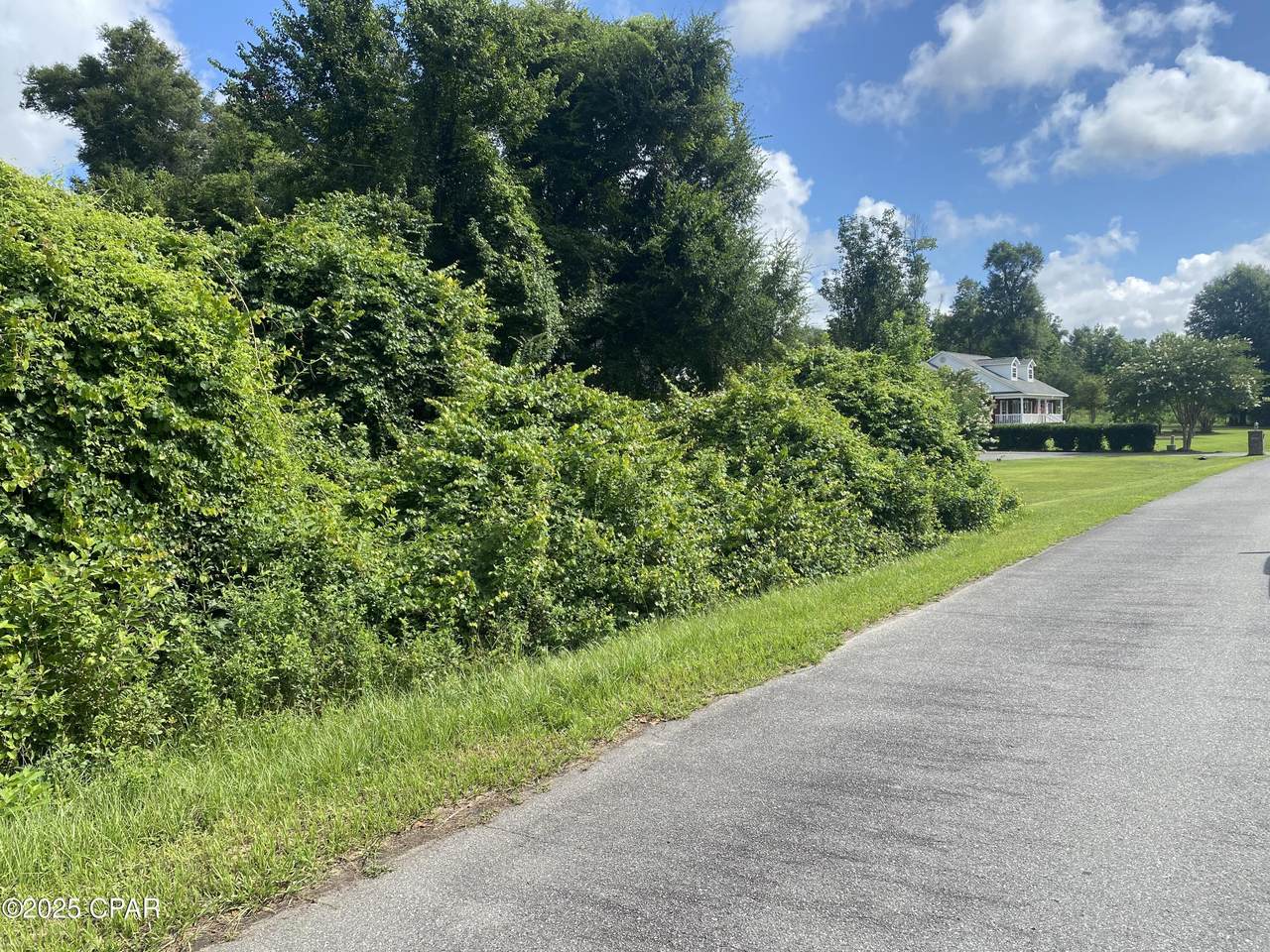 0000 Magnolia Blossom Lane - Photo 1
