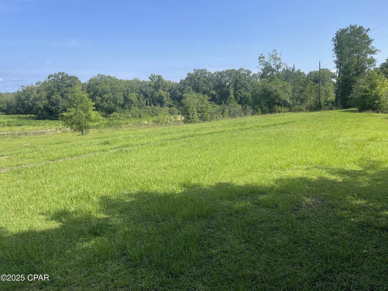 0000 Holmes Creek Road - Photo 1