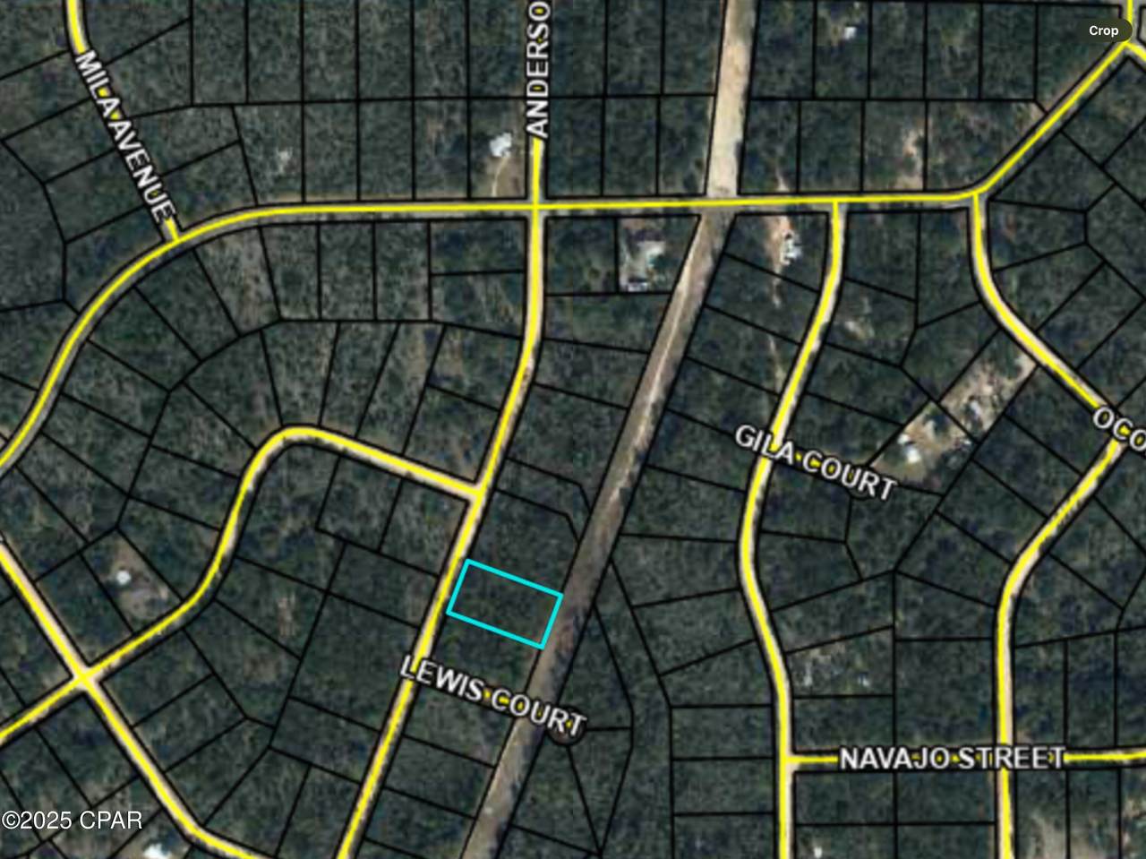 0000 Anderson Drive - Photo 1