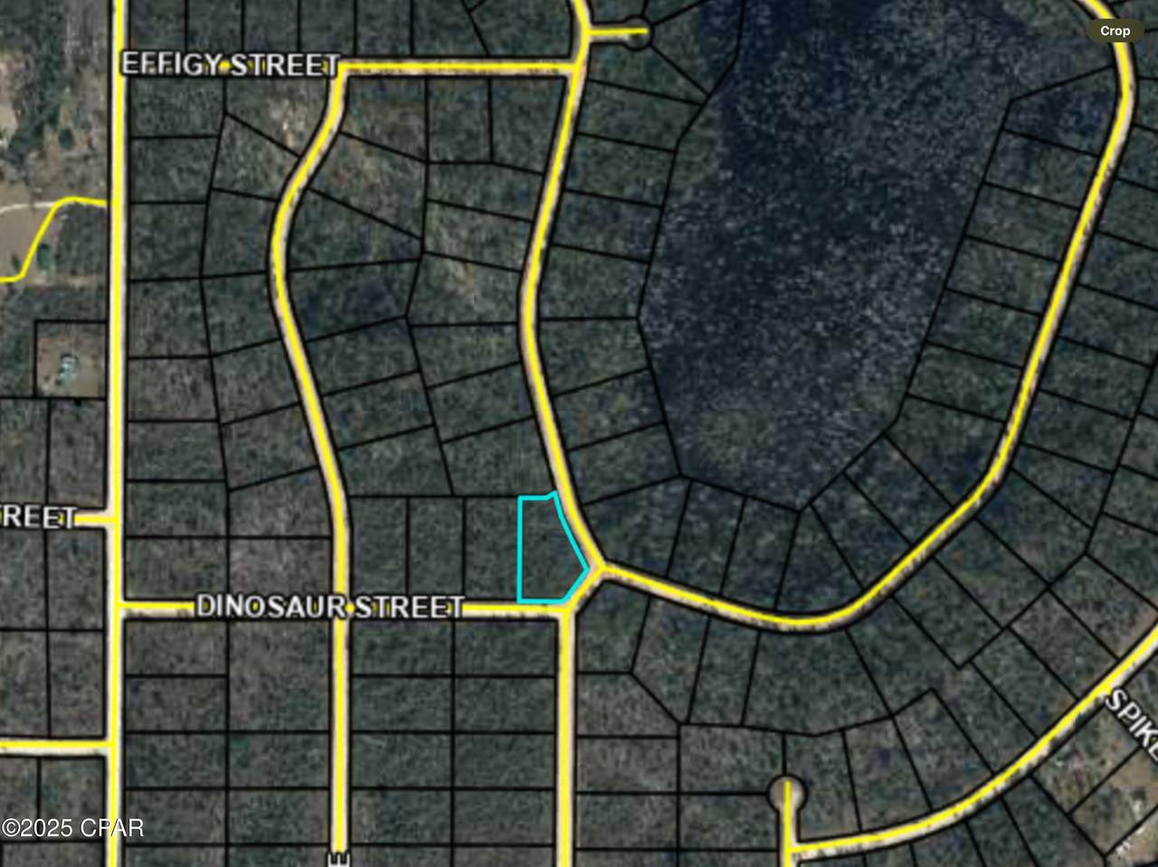 0000 Grand Quiviera Circle - Photo 1