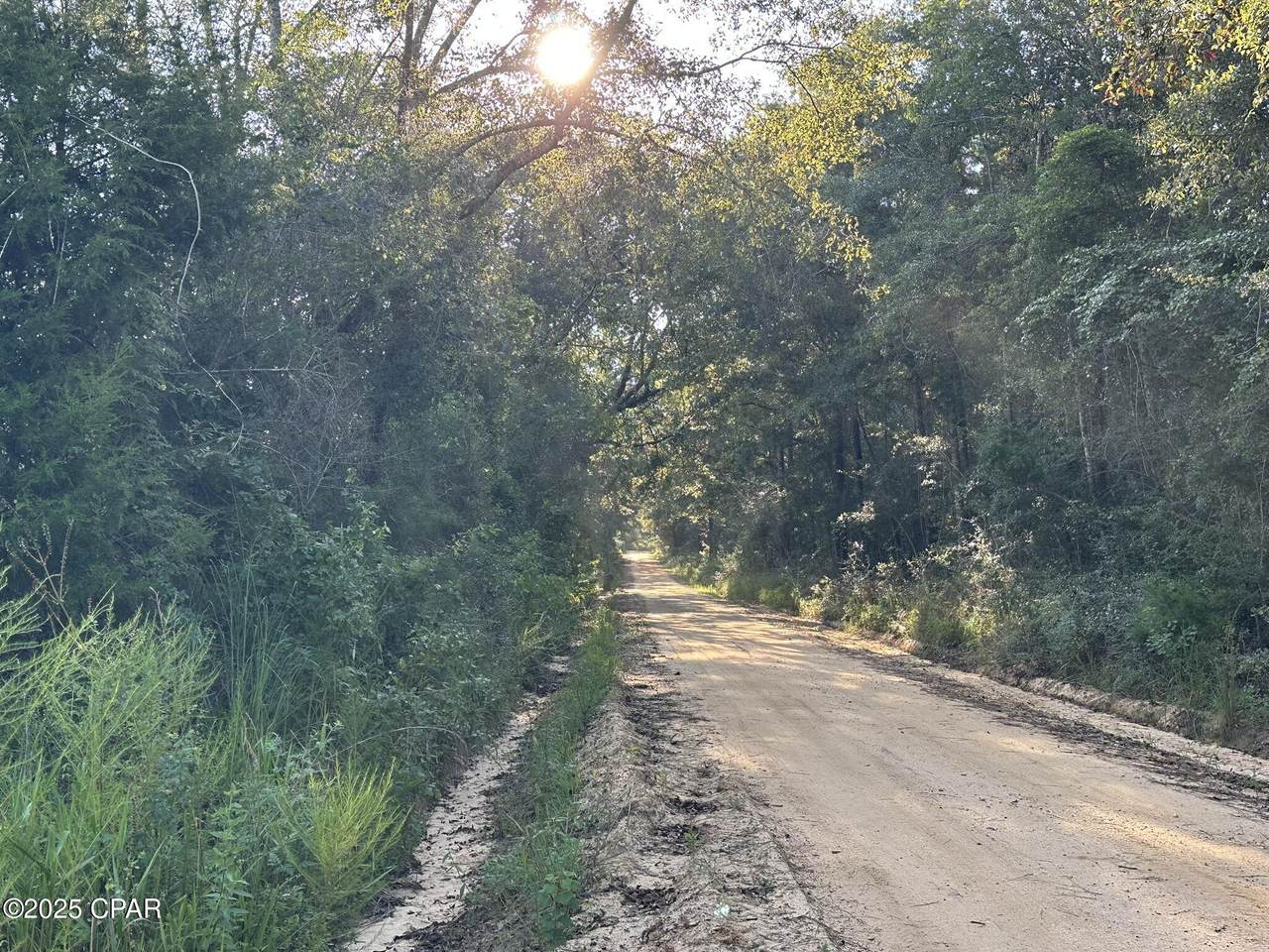 Tract#6201 Doyle Morgan Road - Photo 1