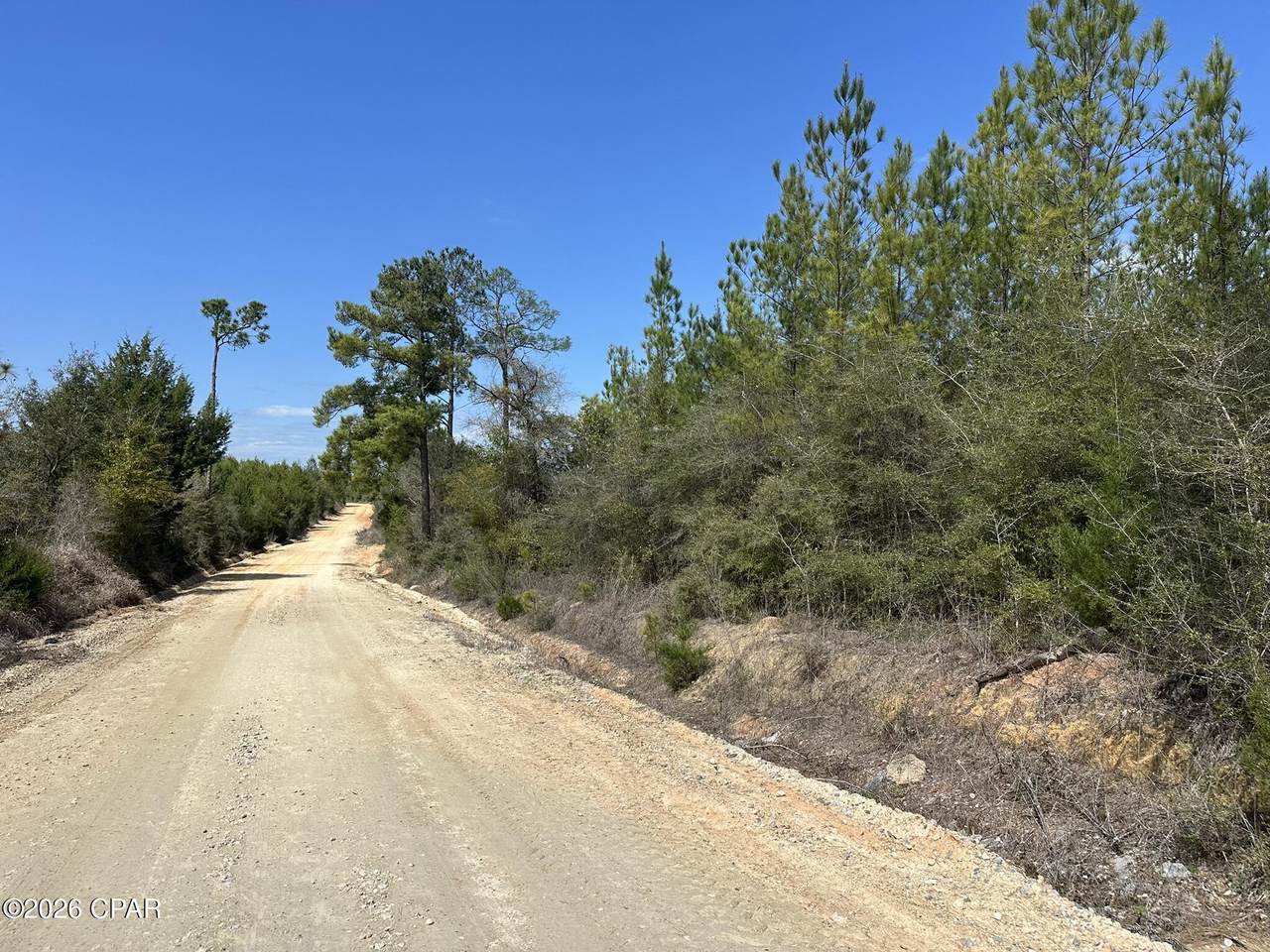 Tract# Mattox Springs Road - Photo 1