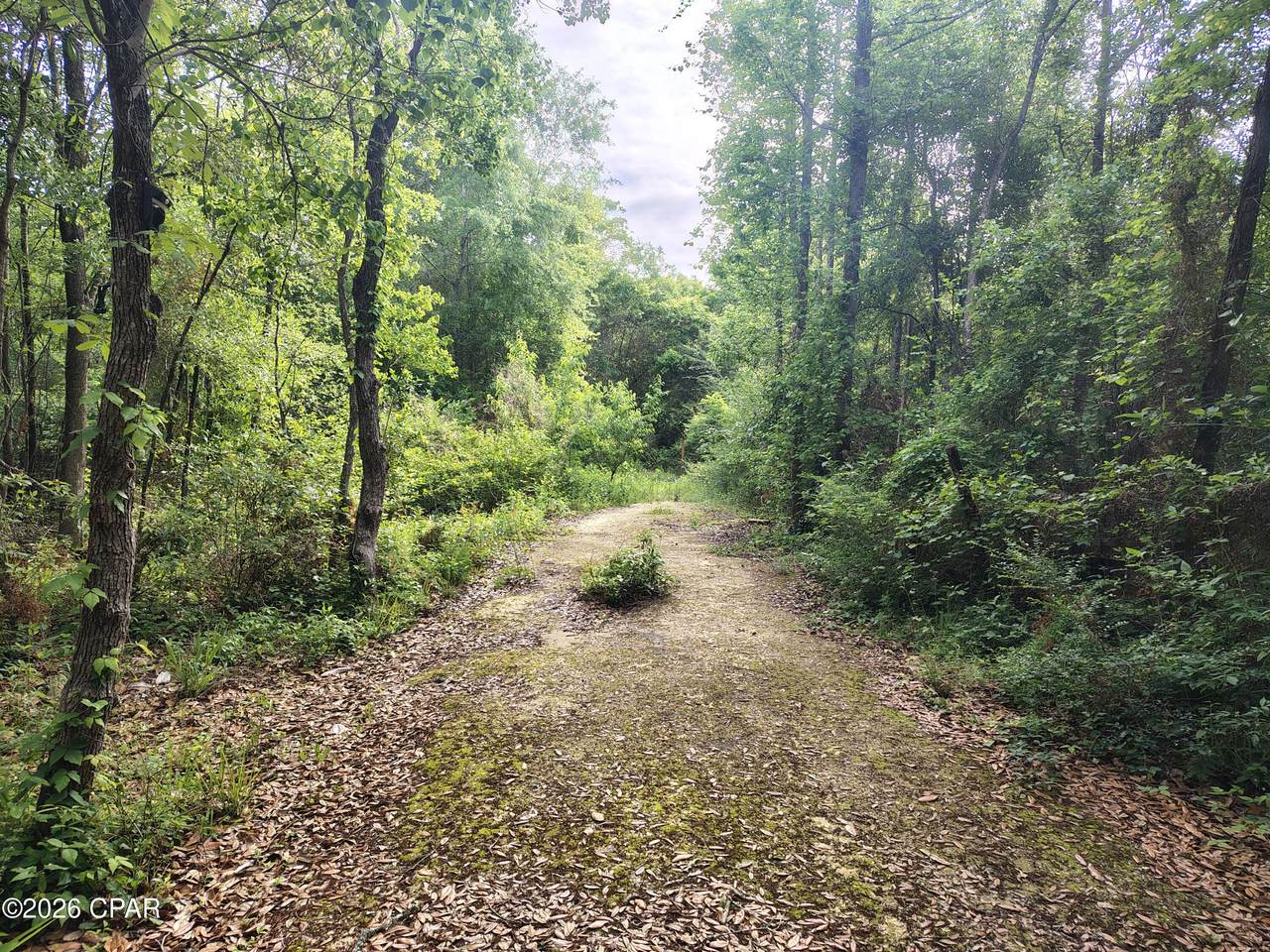 1414 Highway 2 - Photo 1