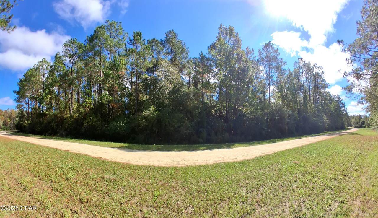 Lot 37 Alder Lane - Photo 1