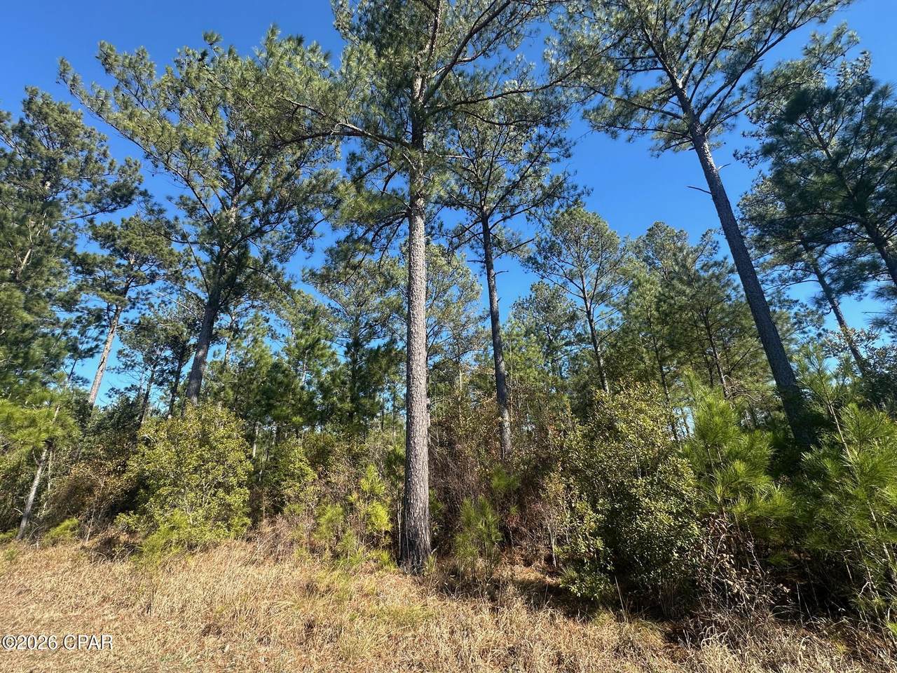 000 River Road - Photo 1