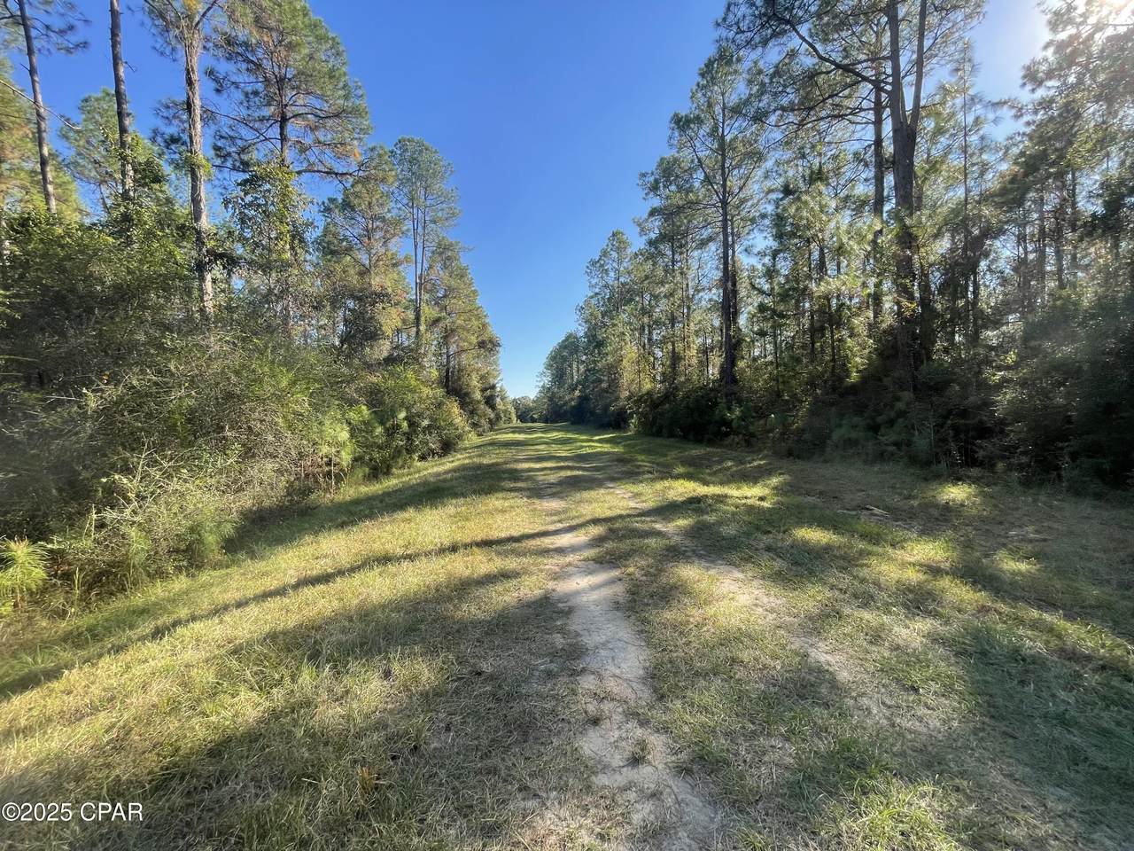 0010 Hawthorne Trail - Photo 1