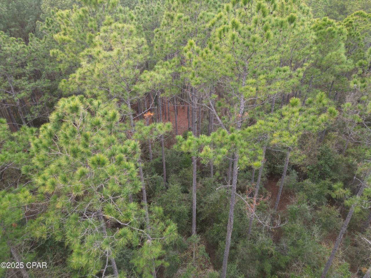 https://bt-photos.global.ssl.fastly.net/panamacity/1280_boomver_2_780486-2.jpg