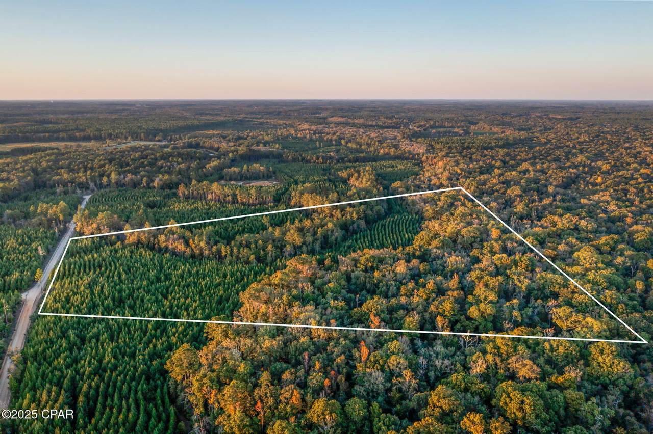 XXX Open Creek Road - Photo 1