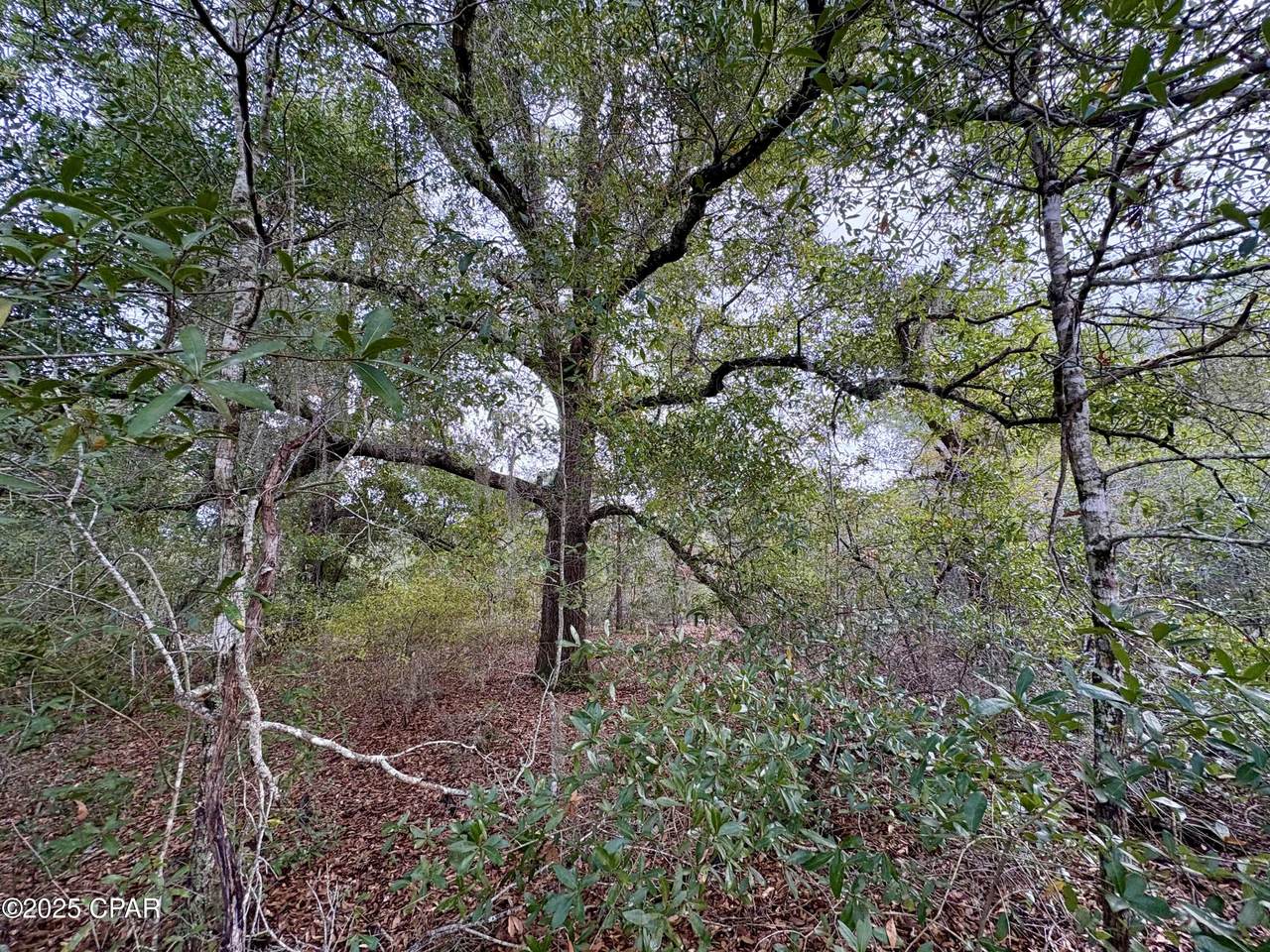 Lot 14 Sadorus Avenue - Photo 1