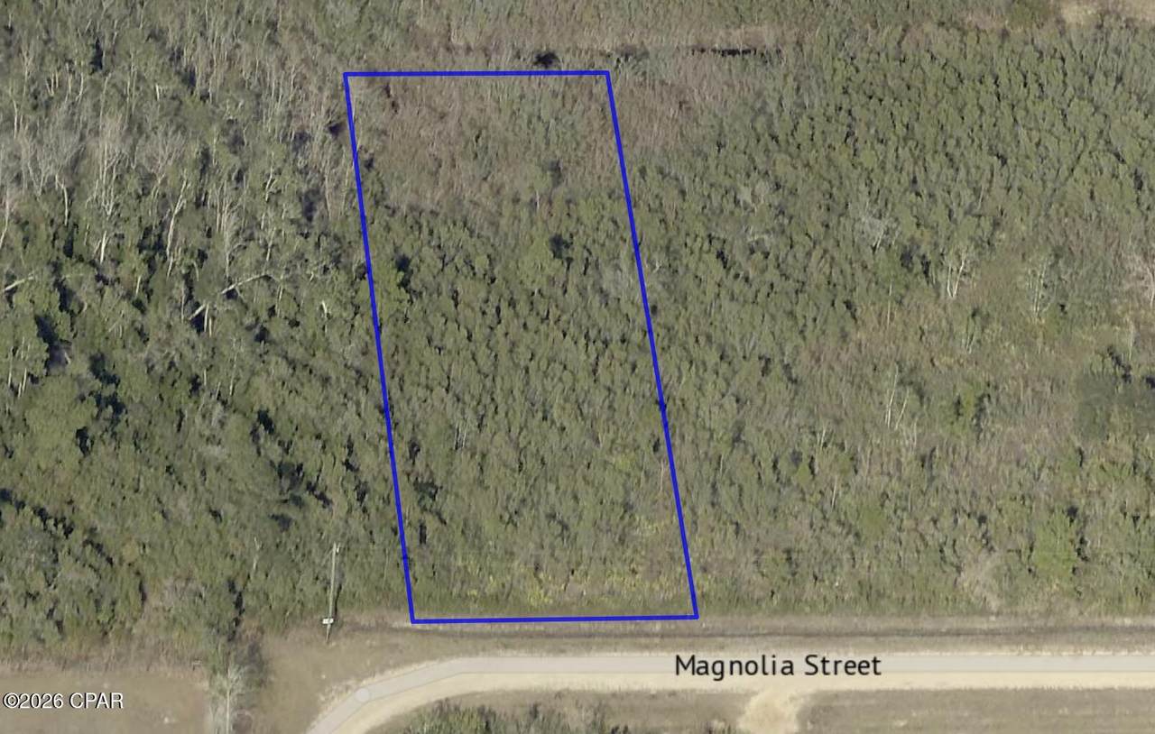 11703 Magnolia Street - Photo 1