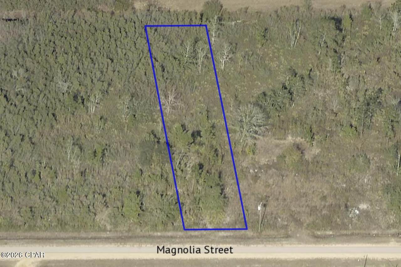 11719 Magnolia Street - Photo 1