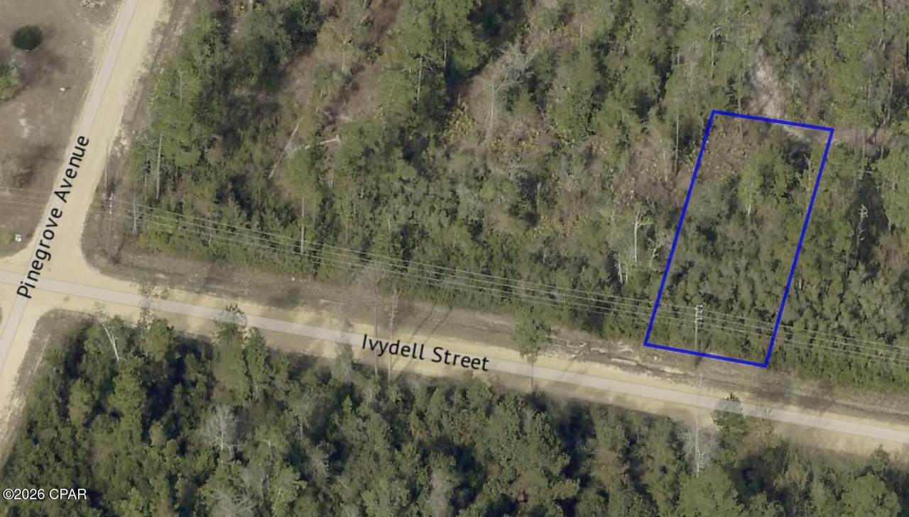11721 Ivydell Street - Photo 1