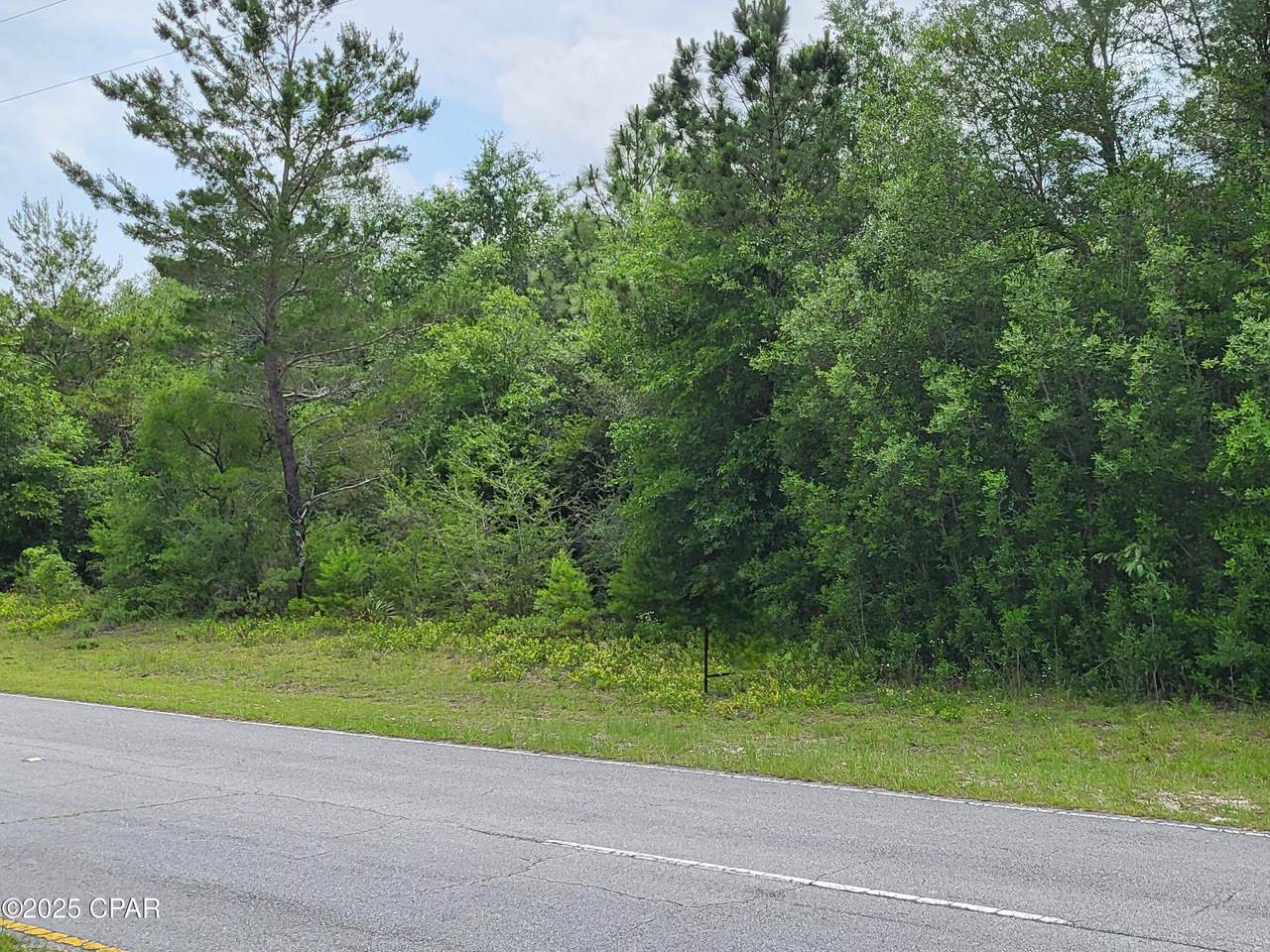 TBD Deltona Boulevard - Photo 1