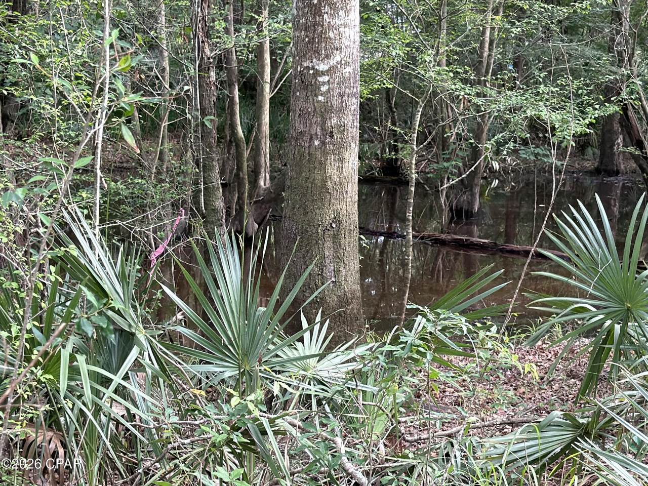 https://bt-photos.global.ssl.fastly.net/panamacity/1280_boomver_1_784172-2.jpg