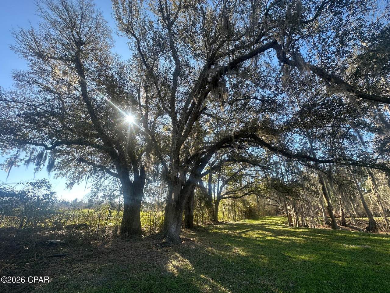 https://bt-photos.global.ssl.fastly.net/panamacity/1280_boomver_2_785808-2.jpg