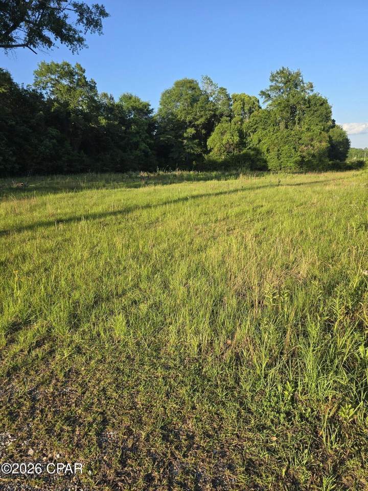 104 Treadwell Road - Photo 1