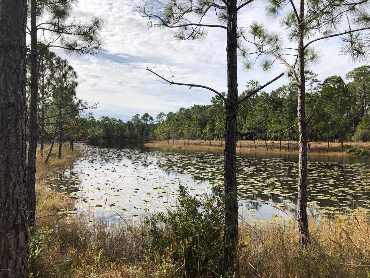 1521 Dune Lake Trail - Photo 1