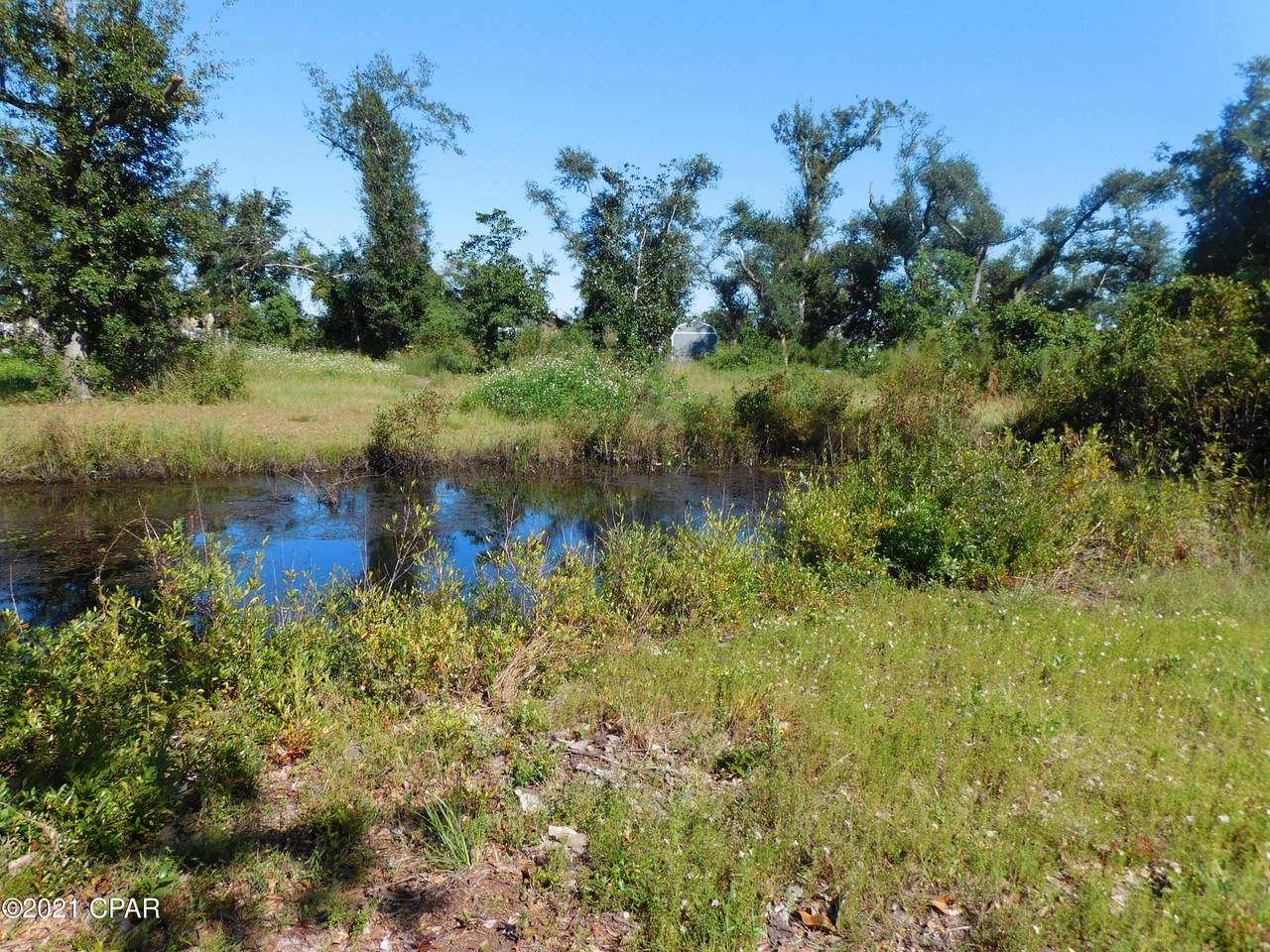 7333 Gainer Bayou Road - Photo 1