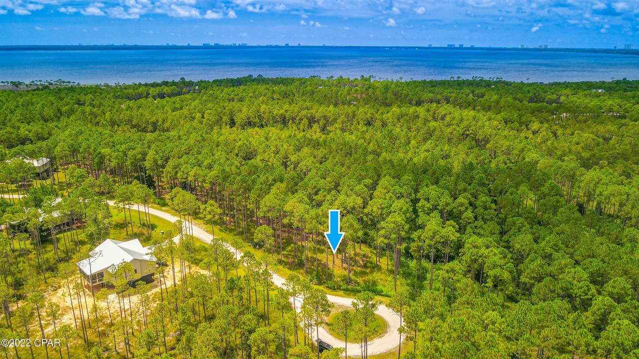 7702 Magnolia Pond Trail - Photo 1