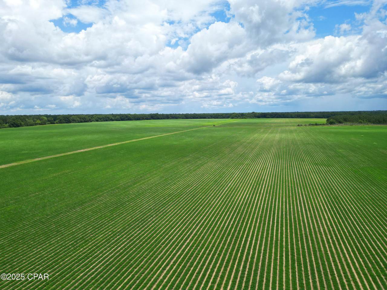 00 Blue Star Highway - Photo 1