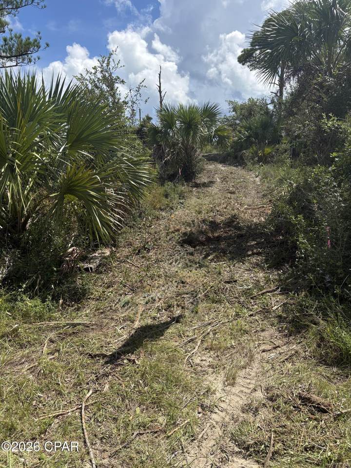 https://bt-photos.global.ssl.fastly.net/panamacity/orig_boomver_5_778890-2.jpg